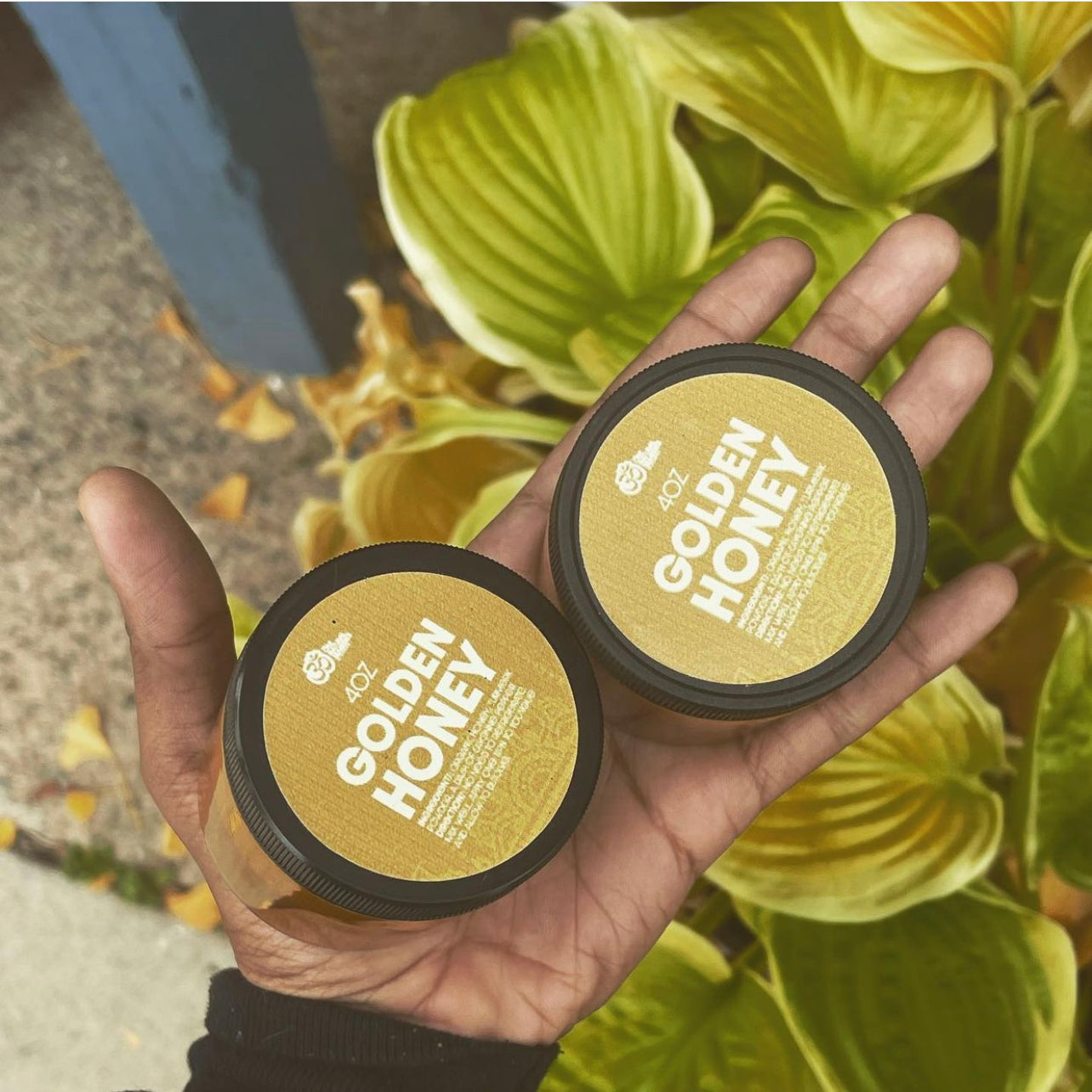 Golden Honey