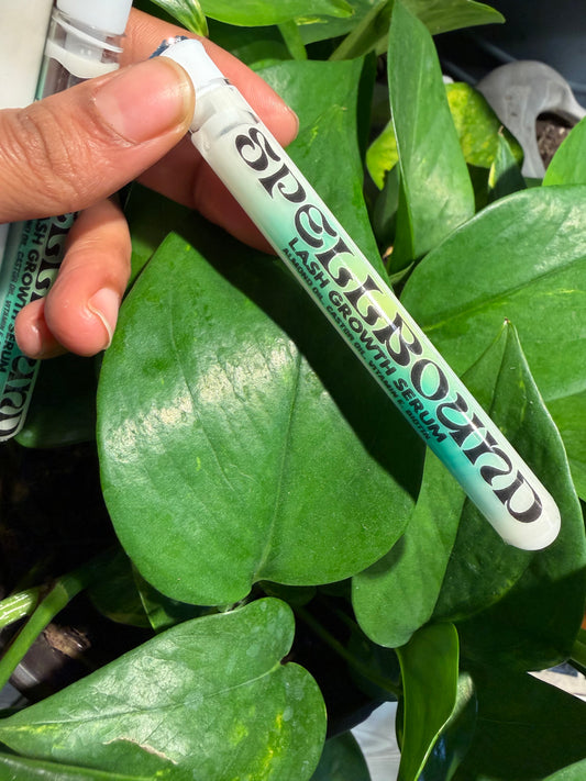 Spellbound Lash Growth Serum